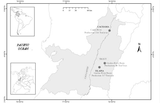 Map of the study area, cultures of tilapia, cachama and trout.