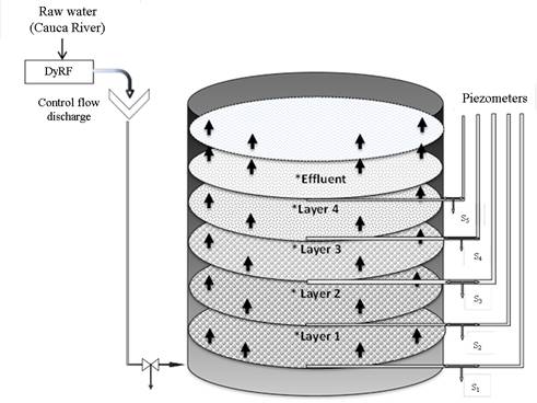 Pilot filter scheme used in the study with marked sampling points S1-S5 and respective piezometers.