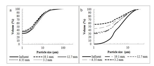 Particle size distributions by gravel media: (a) run time 30 days- vf 0.5 m/h, influent TSS 37.4 mg/L and (b) run time 53 days, vf 0.5 m/h, influent TSS 22.4 mg/L.