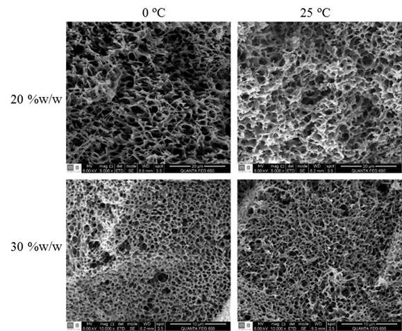 SEM images for LDPE membrane cross section. Membrane elaborated with polymer content of 20% w/w, 5 000x. Membranes with 30% w/w, 10000x.