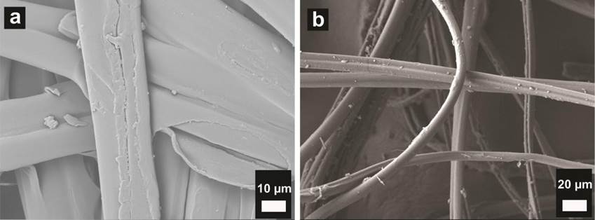 SEM micrographs of silkworm cocoon and fibroin (a) 1000X and fibroin (b) 500X, taken at the IIM-UNAM.