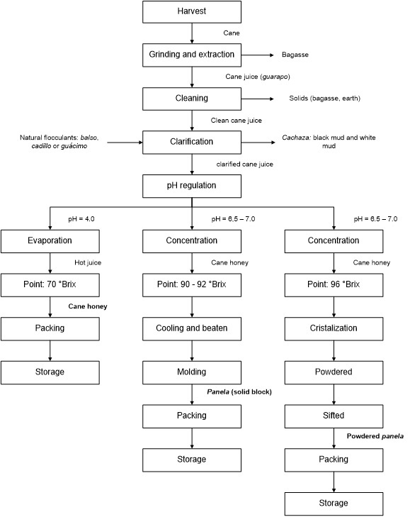 Production process for panela and derivatives 7. 
