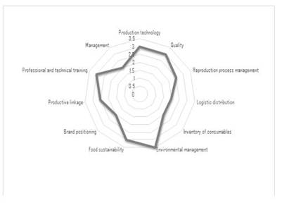 Value radars for organization A.