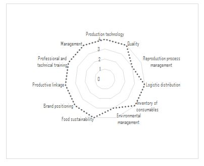 Value radars for organization B