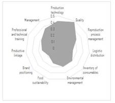 Weight value radars for organization D