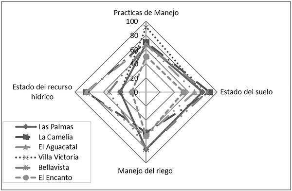 Valores obtenidos por indicador para las parcelas productivas evaluadas.