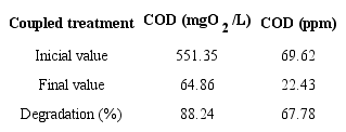 Result of the coupled treatment 