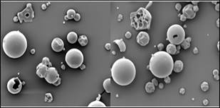 Scanning electron micrographs (SEM-1,000X) of the powder sample. Source: own elaboration.