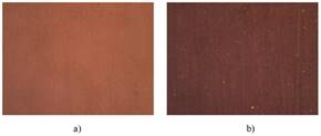 Photograph taken with a Pace Technologies microscope (a) Sample PP100 (b) Sample PGC3505. 