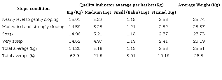 Average weight of oranges per basket for each slope condition according to quality indicators.