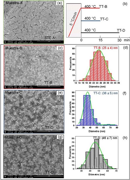 Micrografías MEB de las superficies para (a) Muestra de referencia STT-A, (b) Esquema de los tratamientos térmicos aplicados, (c, e, g) Tratadas térmicamente (TT-B, C, D), (d, f, h) Histogramas calculados para la determinación del tamaño de grano promedio. 