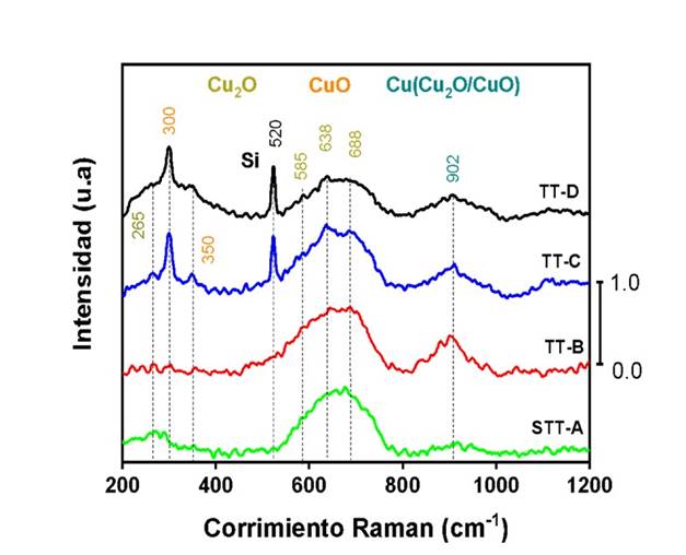 Espectros Raman para las muestras (STT-A, TT-B, TT-C, TT-D), indicando las fases y bandas asociadas a cada uno de los óxidos de Cobre. Los datos han sido normalizados al pico de mayor intensidad, para cada uno de los espectros. 