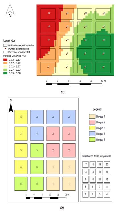 (a) Mapa de variabilidad espacial del contenido de materia org&aacute;nica (MO) del suelo. (b) Distribuci&oacute;n de bloques. 