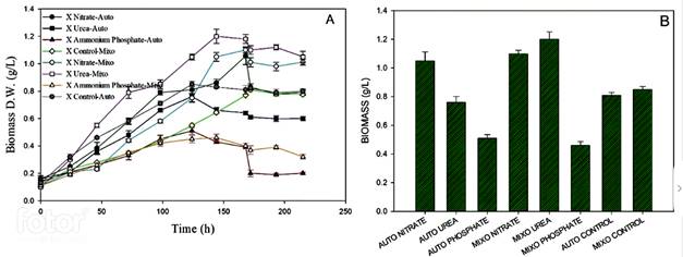 Biomass production on different nitrogen sources using MAD under autotrophic and mixotrophic conditions. A. Growth kinetics and B. Maximum biomass concentration reached. 