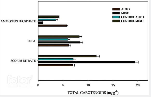 Total carotenoid concentration under autotrophic and mixotrophic conditions with each nitrogen source.