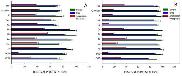 Contaminant Removal A. Autotrophy. B Mixotrophy. 
