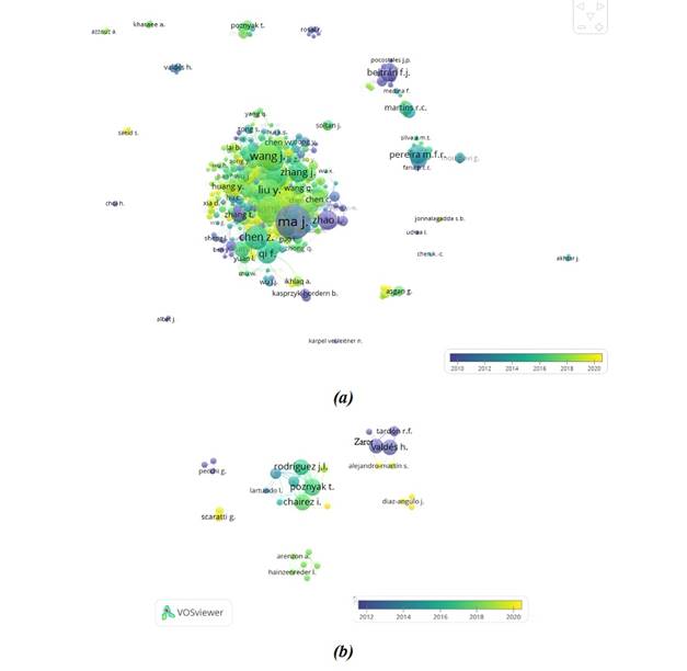An&aacute;lisis de co-autor&iacute;a y principales autores internacionales (a) Mundo (b) Am&eacute;rica Latina. 