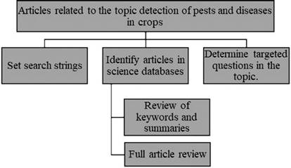 Article search and selection process. 