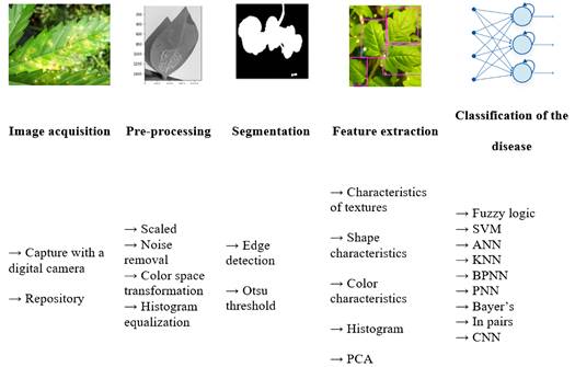 Steps for the extraction of artisan characteristics. 