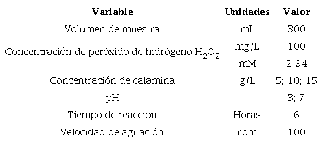 Condiciones de operación para experimentos Fenton heterogéneo.
