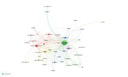 Red bibliom&eacute;trica de ocurrencias de palabras claves para la b&uacute;squeda de &ldquo;Vinasse&rdquo;. M&iacute;nimo n&uacute;mero de ocurrencia igual a 10. Investigaciones limitadas hasta el a&ntilde;o 2020.