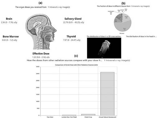 Ventana de resultados de la App web de estimación de dosis equivalentes y efectiva en radiología dental. 