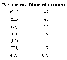 Dimensiones de la antena.