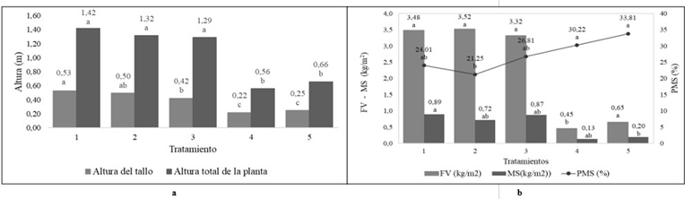 Efecto de diferentes niveles de pH sobre variables de crecimiento y rendimiento en pasto Megathyrsus maximus cv. Agrosavia Sabanera. Altura del tallo y de la planta (a), producci&oacute;n de forraje verde (FV), porcentaje de materia seca (PMS) y materia seca (b) (MS). 