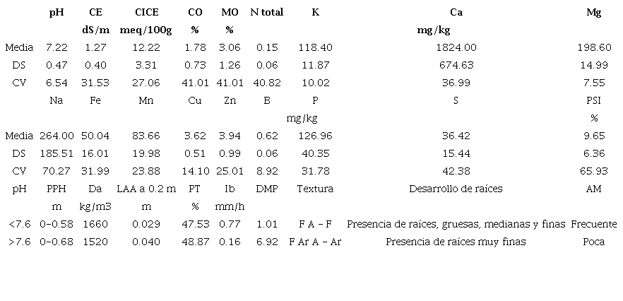 Caracterizaci&oacute;n qu&iacute;mica de la fase intercambiable del suelo y propiedades f&iacute;sicas del suelo en el primer horizonte.