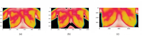 Resultado de la segmentaci&oacute;n de im&aacute;genes: a) Recorte inicial y eliminaci&oacute;n de fondo. b) Identificaci&oacute;n de las zonas m&aacute;s calientes. c) Recorte m&aacute;s preciso, limitando zona de inter&eacute;s