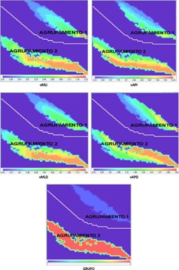 Mapas de calor de las variables de la velocidad del CoP. En la parte inferior de cada mapa aparece la correspondencia entre el color y el valor.