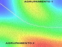 Mapa de densidad de la velocidad del CoP.