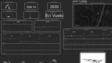 Cruise phase data display. 