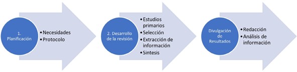 Metodolog&iacute;a utilizada para la revisi&oacute;n sistem&aacute;tica. 