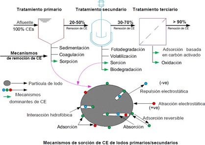 Esquema de remoci&oacute;n de CE en un tratamiento convencional de agua residual. 