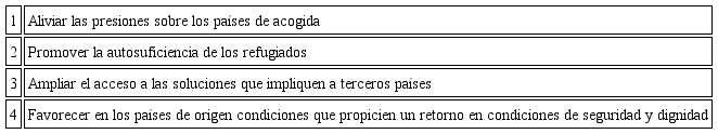Principales objetivos del Pacto Mundial sobre los Refugiados