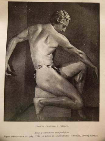 (Pellegrini, 1950:144)