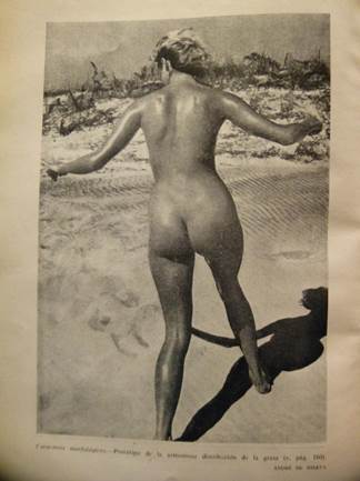 (Pellegrini, 1950:145)