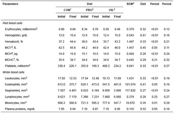 Red and white blood cells, and plasma proteins of young crossbred bulls finished in feedlot.