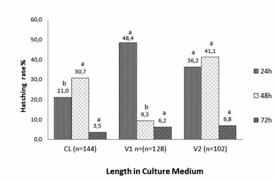 Hatching rate of IVP bovine embryos cryopreserved by slow controlled-rate freezing (Cl), vitrification protocol 1 (V1) and vitrification protocol 2 (V2) at 24, 48, and 72 h after thawing or warming. Different superscript letters (a, b) within the same culture time indicate significant differences (p<0.05).