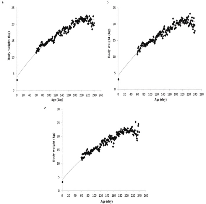 Observed body weights for all lambs (a), males (b), and female lambs (c).