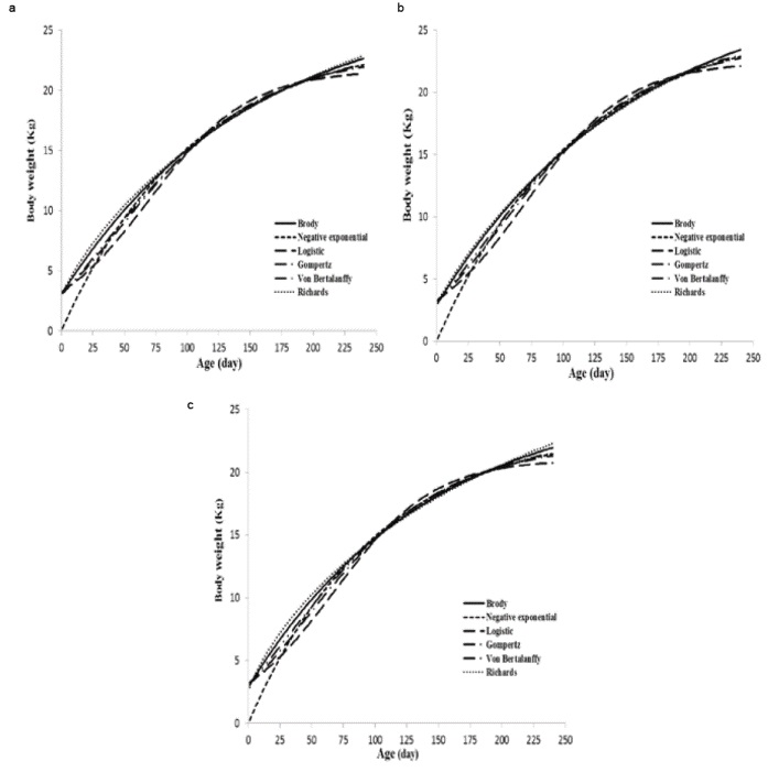 Predicted body weights (Kg) as a function of age (days) obtained with different growth models for all lambs (a), male (b), and female (c) lambs.