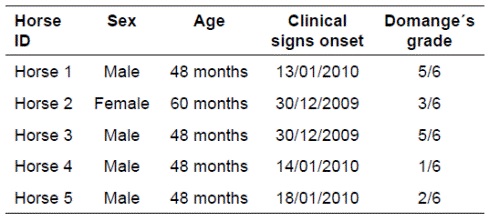 Symptoms and others basic description of the horses examined on the field.