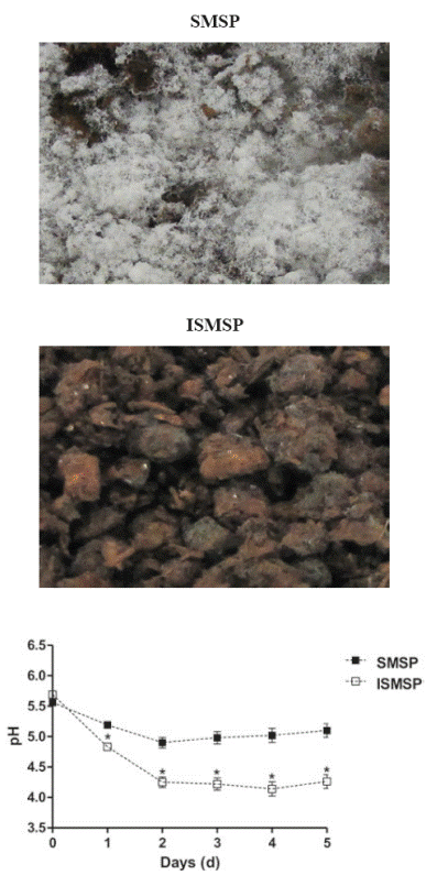 Visual evaluation and pH change of SMSP and ISMSP during 5 d of storage under anaerobic condition. SMSP: Spent mushroom substrate from Pleurotus ostreatus. ISMSP: SMSP inoculated with LAB. Asterisks (*) indicate means differ significantly between treatments (p<0.05).