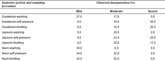 Desquamation of small intestine villi in pig samples subjected to washing, soft pressure, and knotting.