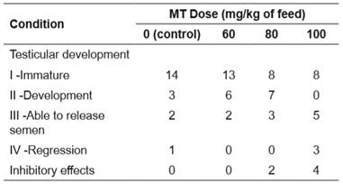 Number of male Rhamdia quelen (fed diets supplemented with 0, 60, 80, or 100 mg of 17α-methyltestosterone (MT) per kg of feed) and testicular development.
