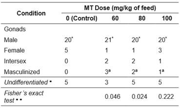 Classification of gonads of Rhamdia quelen fed diets supplemented with 0, 60, 80, or 100 mg of 17α-methyltestosterone (MT) per kg for 21 days. Fish at 150 days post-hatching.