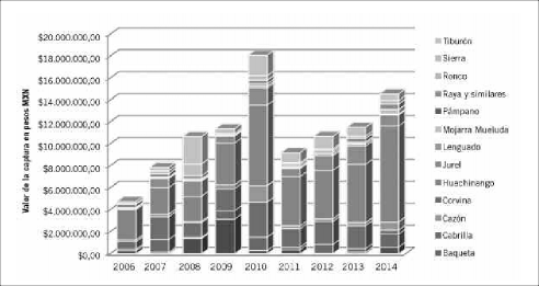 Valor de la captura en pesos mexicanos (MXN)del municipio de Loreto para el per&iacute;odo 2006-2014