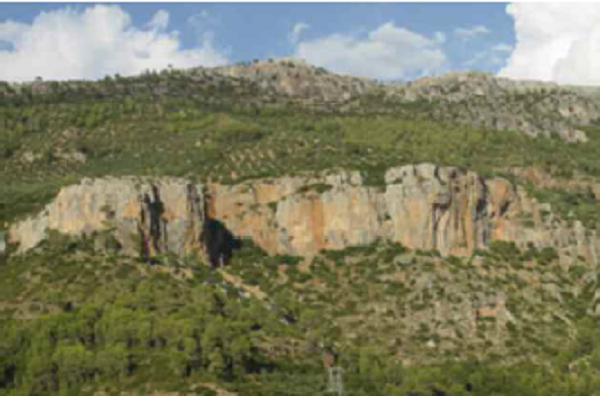 Mosaico de olivar y pinar, Sierra de Segura