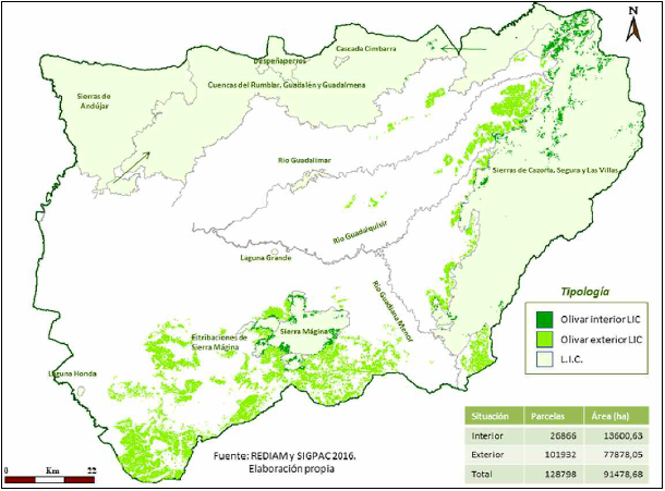 Olivares de monta&ntilde;a y &aacute;reas protegidas